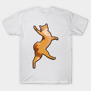 Funny cat T-Shirt